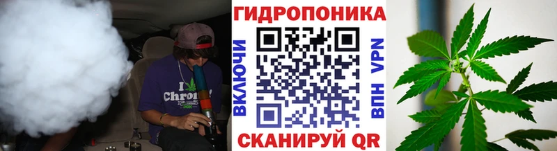 Шишки марихуана Amnesia  Лабытнанги 